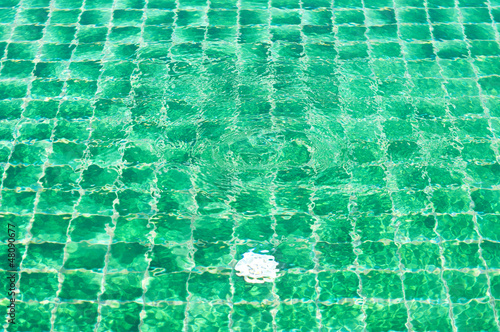Fototapeta Swimming pool floor under water ripple.