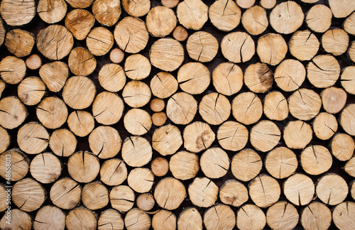 Fototapeta Pile of wood logs