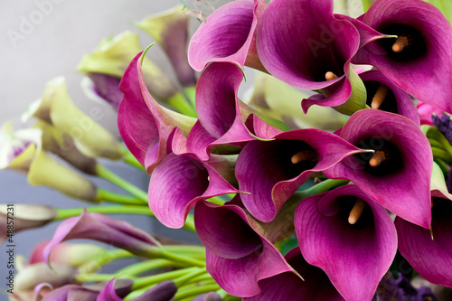  Beautiful bouquet of calla lilies.