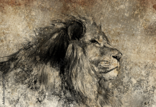  Illustration made with digital tablet, lion in sepia