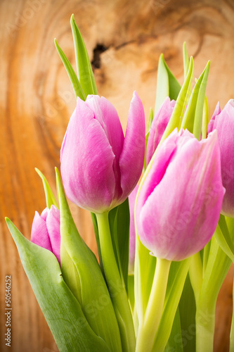 tulipany