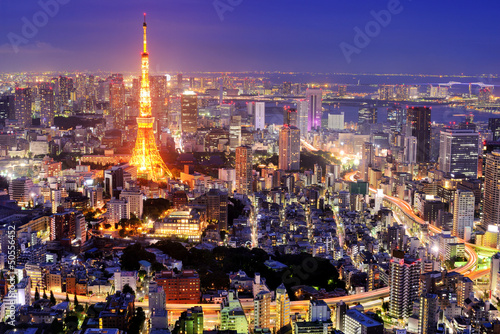Fototapeta Tokyo Cityscape