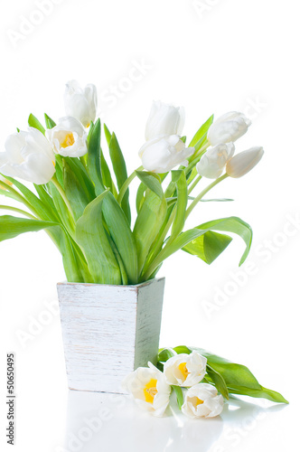 biale-tulipany-w-drewnianej-donicy