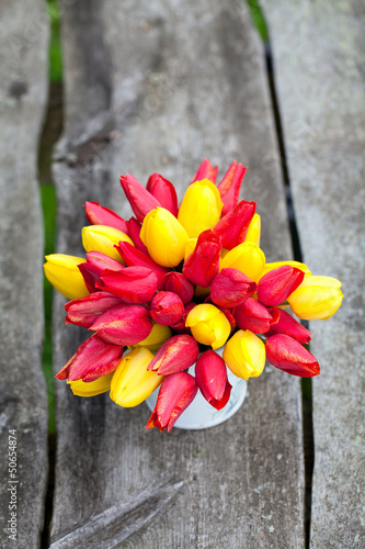 czerwony-i-zolty-tulipan-na-drewniane-tla
