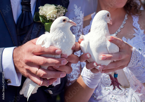 White pigeons in the hands of newlyweds