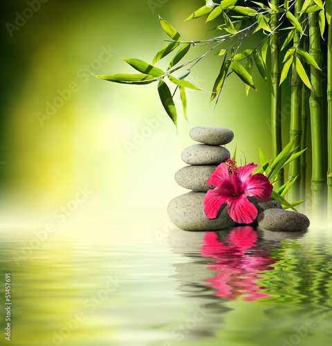 Fototapeta Stones, red hibiscus and Bamboo on the water