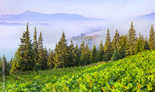 panorama-letnich-karpat-wies-gorskich