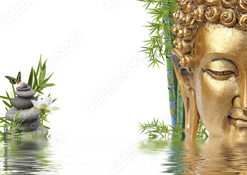 Fototapeta tête de Bouddha au bord de l'eau