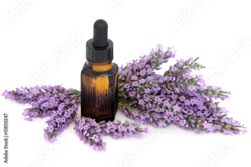 Lavender Herb Flowers