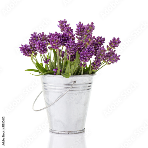 lavender in a metal bucket