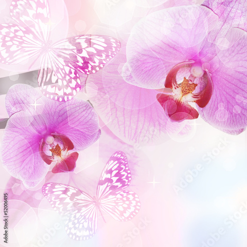 Fototapeta Orchid Flower background, tender blur colors and bokeh