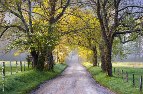 cades-cove-park-narodowy-great-smoky-mountains-scenic
