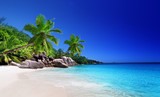 beach at Praslin island  Seychelles