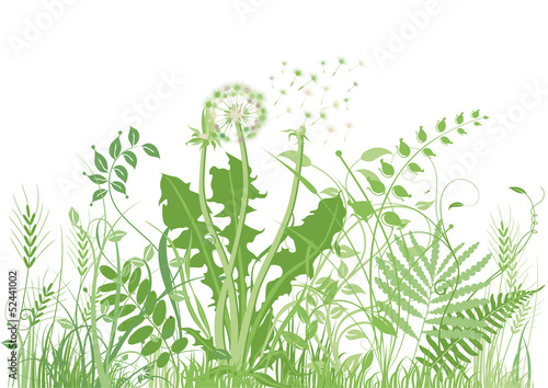 Lacobel grüne Wiese