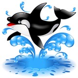 Happy Jumping Killer Whale Cartoon-Orca Salta in Acqua-Vector