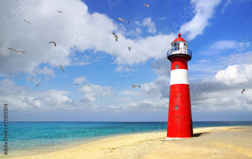Fototapeta Lighthouse with flying seagulls. Westkapelle