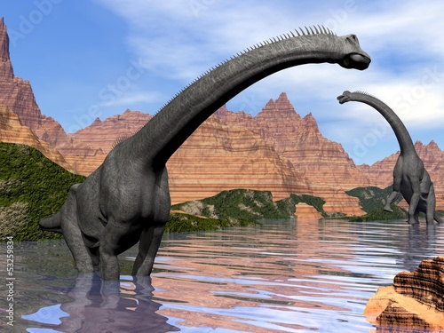 Fototapeta Brachiosaurus dinosaurs in water - 3D render