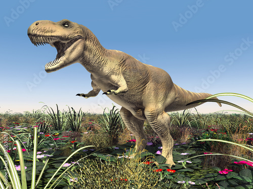 Fototapeta Tyrannosaurus Rex