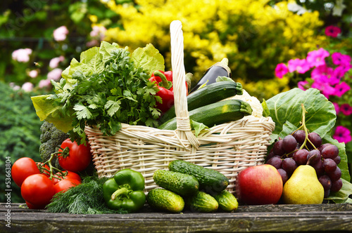 Fototapeta Fresh organic vegetables in wicker basket in the garden