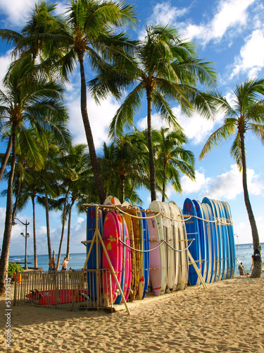 Fototapeta Waikiki Beach Surfboards