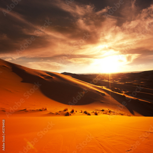 Fototapeta Desert