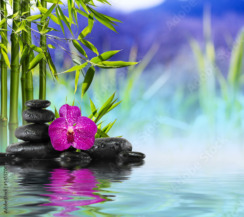 Fototapeta Purple Orchid, Stones and Bamboo on the water