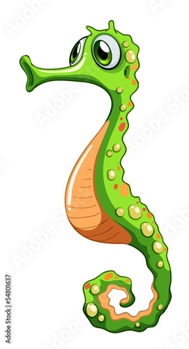  A green seahorse