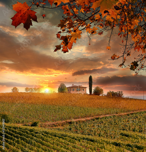 winogradu-krajobraz-w-chianti-wlochy