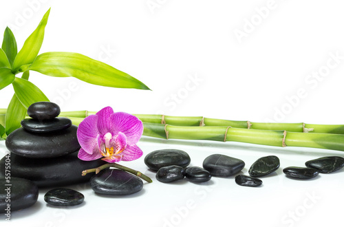 purpurowa-orchidea-z-bambusem-i-wieloma-kamieniami