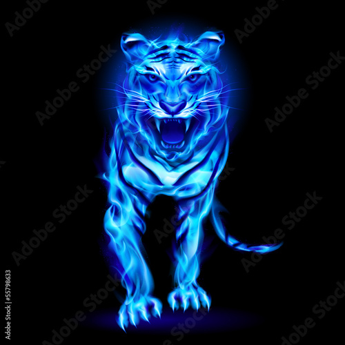 Lacobel Blue fire tiger.