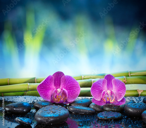 Fototapeta Background orchids stone and bamboo in garden