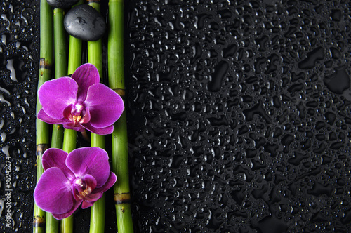 Fototapeta Two pink orchid and zen stones and thin bamboo grove