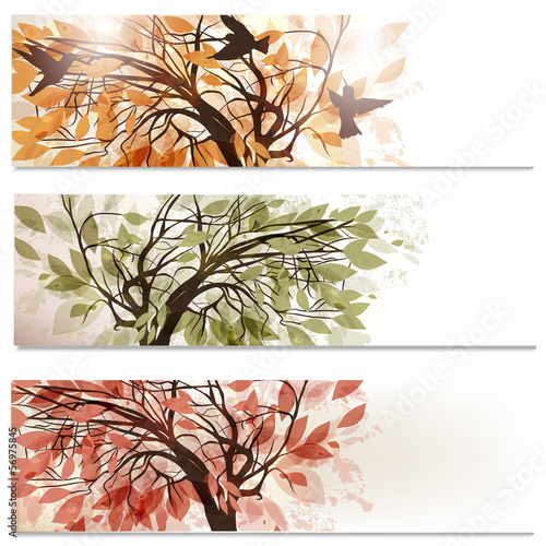 Fototapeta Brochure vector set in floral style with abstract trees