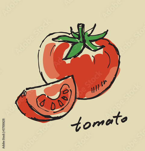 Fototapeta hand drawn tomato