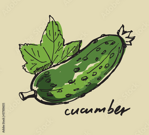  hand drawn cucumber