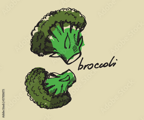 Fototapeta hand drawn broccoli