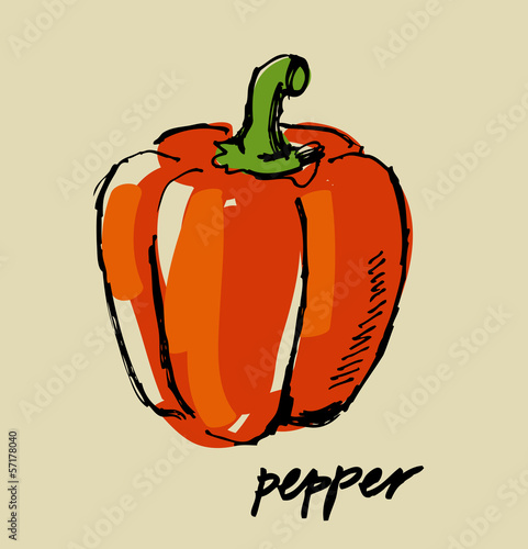 Fototapeta hand drawn pepper