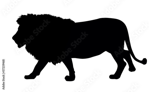 Fototapeta Lion silhouette