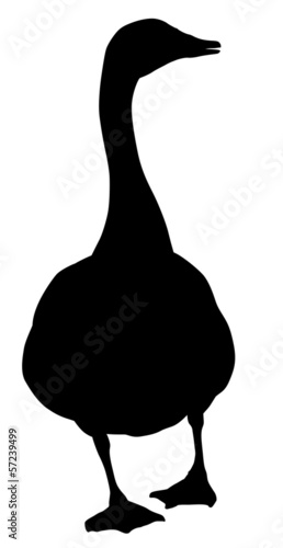 Lacobel Goose silhouette