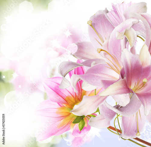  Flower beautiful orchid. Exotic nature background