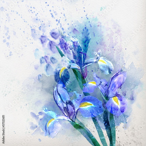 Fototapeta Watercolor iris