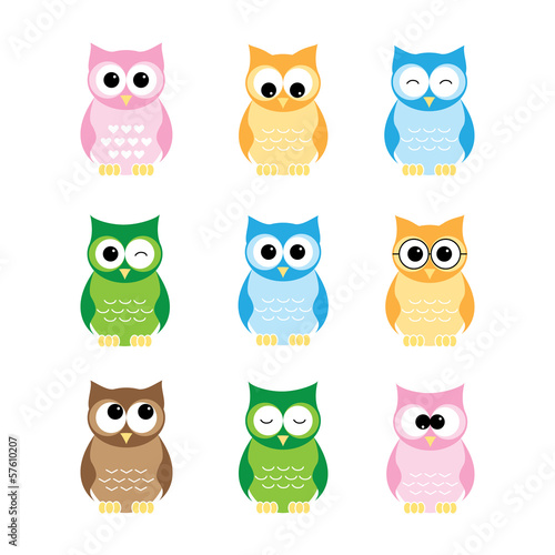 Owls set