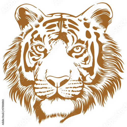  Tiger Stencil