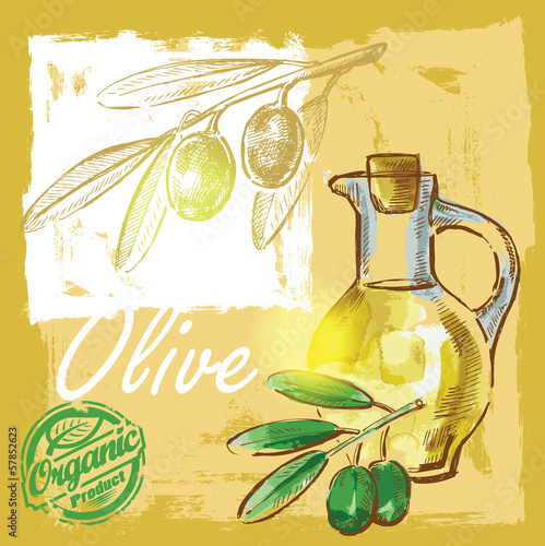 Fototapeta vector olive
