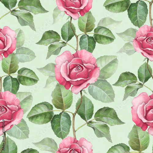  Watercolor pattern with rose illustration