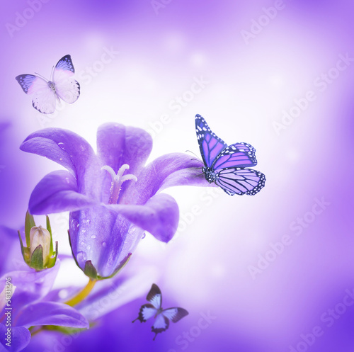 Fototapeta Flowers, dark blue hand bells and butterfly