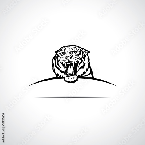  Roaring tiger label
