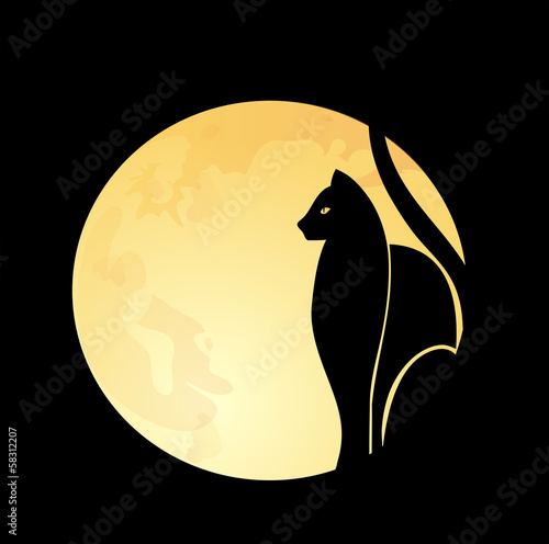 Fototapeta Black cat & full moon