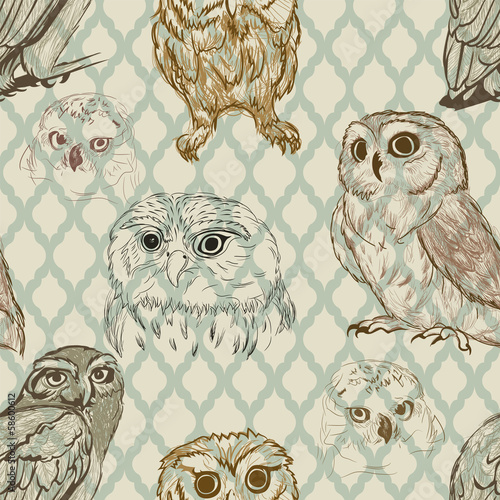 Fototapeta Seamless background with retro owl sketches