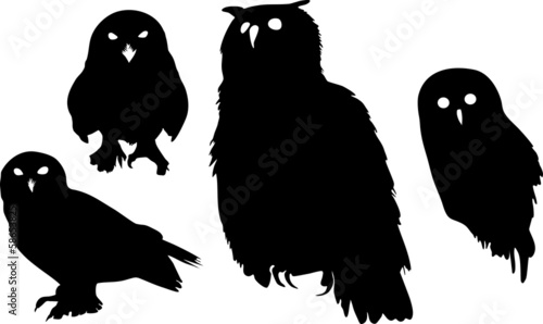  Silhouettes of owls